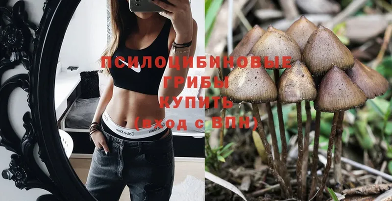 Галлюциногенные грибы Psilocybe  shop официальный сайт  Лобня  omg  